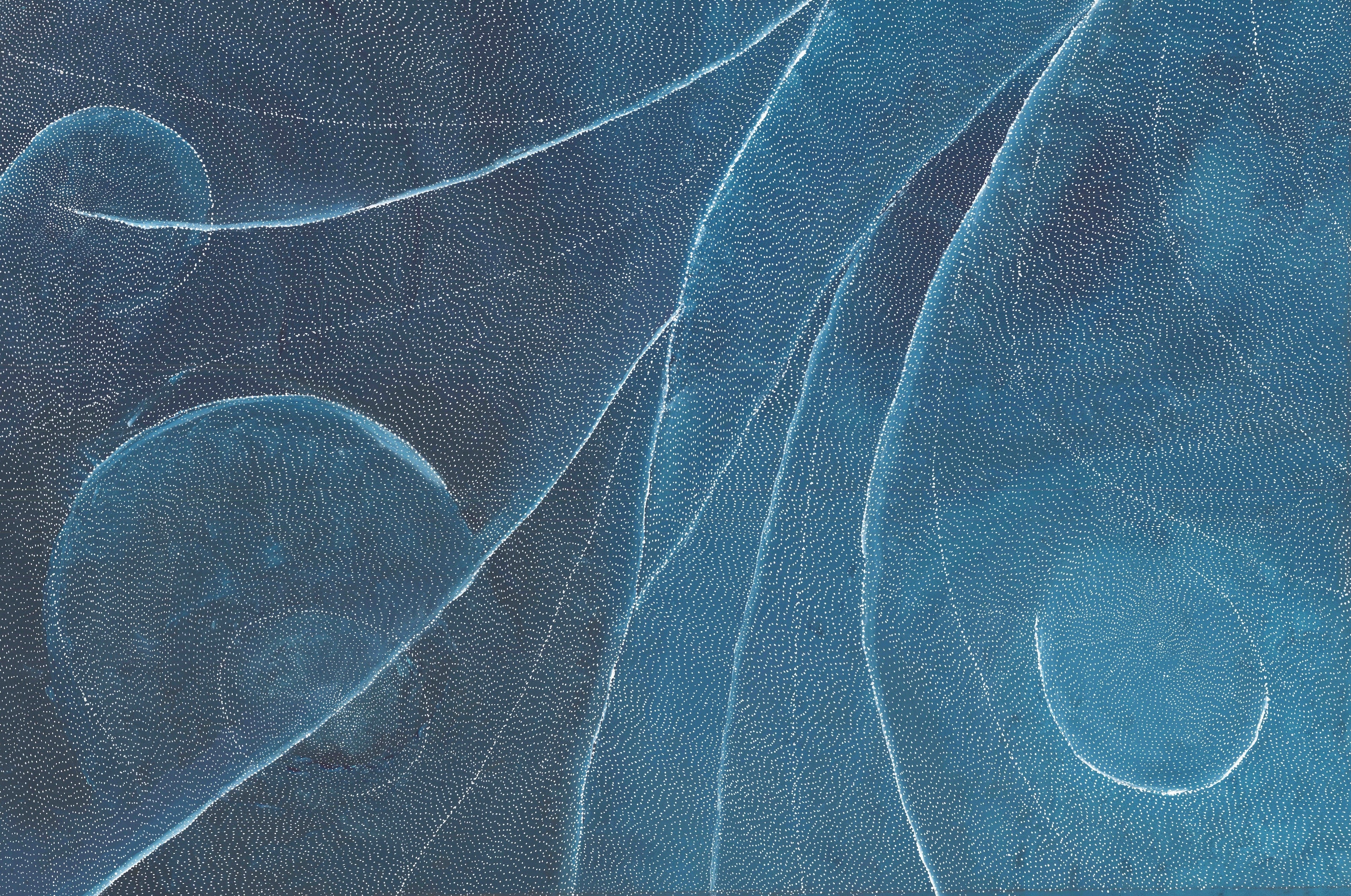'Earth Elements' | 90x120cm