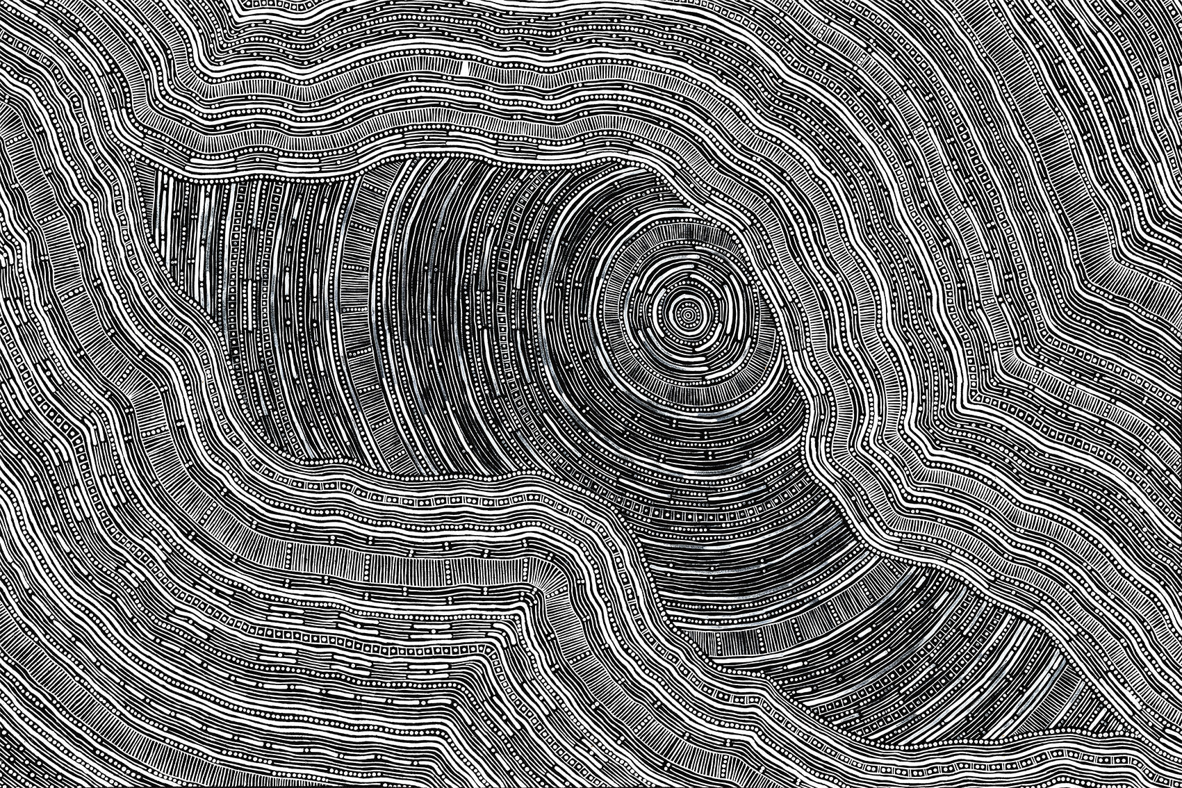 Language Of The Earth II | Print | Framed | 106.5x152cm